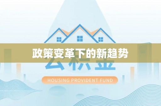 文安政策变革下的新趋势