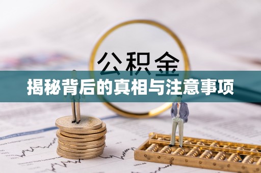 文安揭秘背后的真相与注意事项