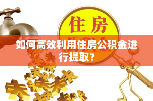 文安如何高效利用住房公积金进行提取？