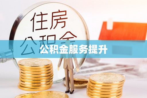 文安公积金服务提升