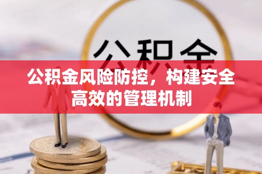 文安公积金风险防控，构建安全高效的管理机制