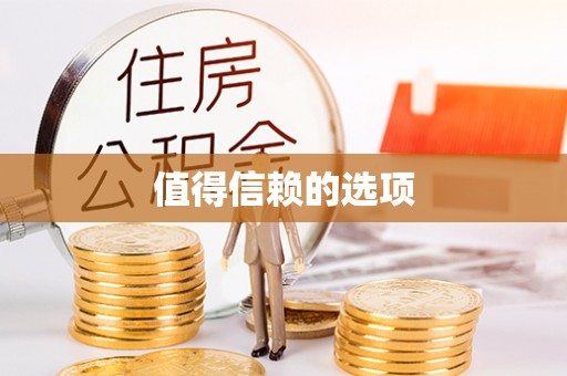文安值得信赖的选项