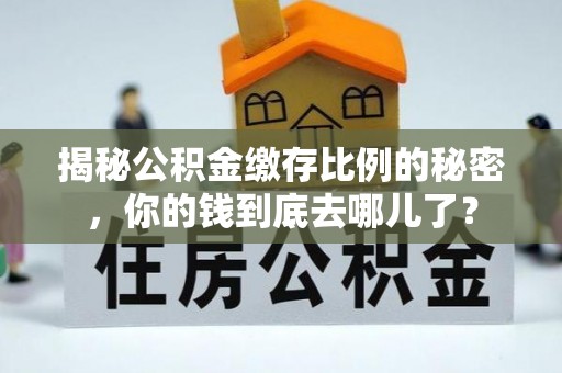 文安揭秘公积金缴存比例的秘密，你的钱到底去哪儿了？