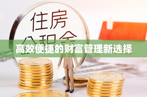 文安高效便捷的财富管理新选择