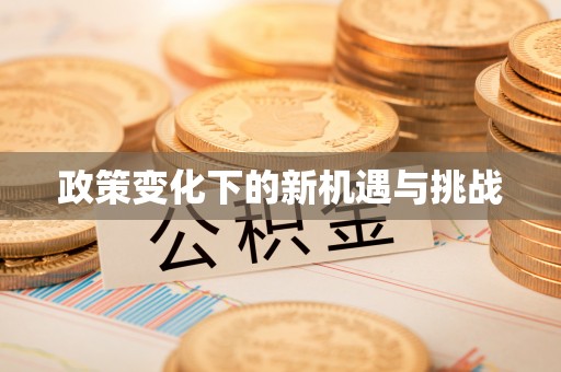 文安政策变化下的新机遇与挑战