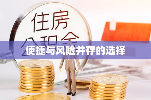 文安便捷与风险并存的选择