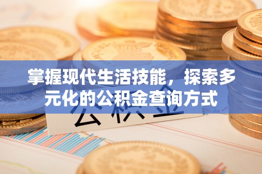文安掌握现代生活技能，探索多元化的公积金查询方式