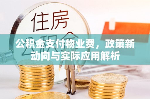 文安公积金支付物业费，政策新动向与实际应用解析