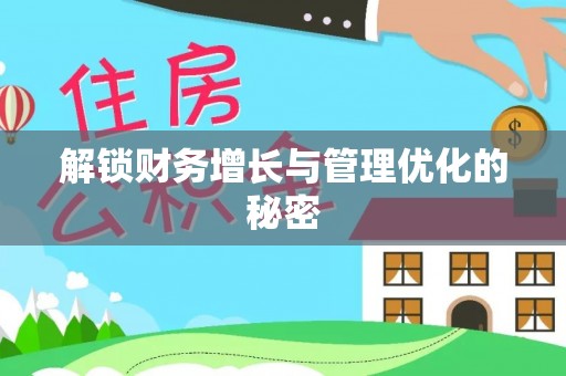文安解锁财务增长与管理优化的秘密