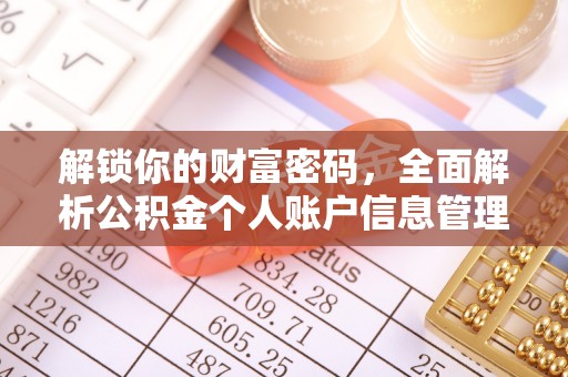 文安解锁你的财富密码，全面解析公积金个人账户信息管理与优化