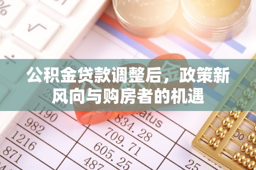 文安公积金贷款调整后，政策新风向与购房者的机遇