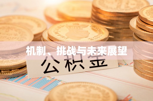 文安机制、挑战与未来展望